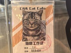 -藏猫猫咖啡主题馆(中央大道店)
