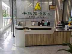 -半岛宠物医院24小时(西派城店)