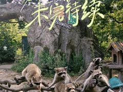 -宁波野生动物园