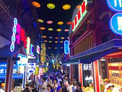 -鸿恩陶然大观园