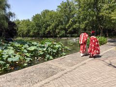 -洛阳市隋唐城遗址植物园