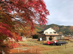 -河口湖八音盒之森美术馆