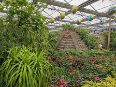 -南宫五洲植物乐园