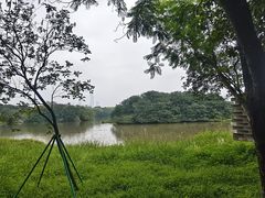 -海珠湖公园