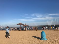 -碧海金沙
