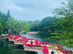 -深圳龙潭公园