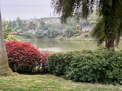 -枫香湖儿童公园