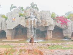 -海南热带野生动植物园