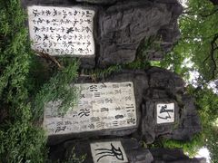 白沙古井-白沙古井