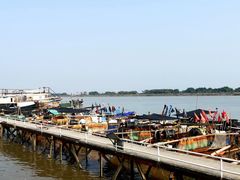 -大湾区中央湿地公园-十九涌