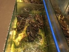 -Isla Sugbu Seafood City