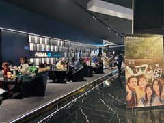 -奥斯卡升龙国际影城(RealD Cinema)