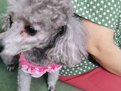 -北京恒爱动物医院(清景园分院)