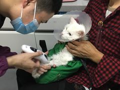 -达爱动物医院·犬猫分区·CT·复杂眼科(远洋山水分院)