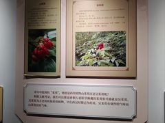 -天津自然博物馆