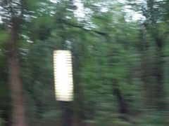 android_upload_pic-枫花园汽车电影院(朝阳公园店)