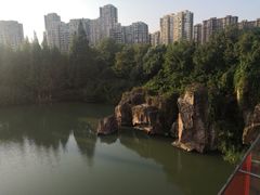 -青枫公园
