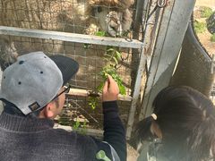 -意大利农场西餐厅(顺义店)