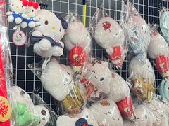 -越秀西湖花市(广州城市广场花卉店)