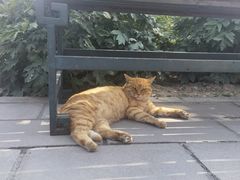 -大钟寺古钟博物馆