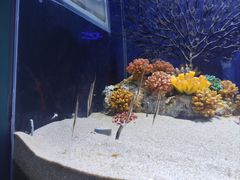 -广州海洋馆