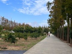 -前小桔亲子创意农场·草莓采摘·露营烧烤