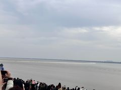 -观潮胜地公园