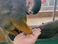 -南京汤山紫清湖生态旅游温泉度假区