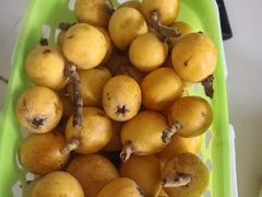 -塘栖枇杷特色园区