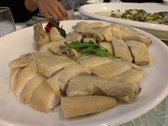 白切鸡-金满楼(天河中路店)