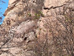 -崂山巨峰游览区