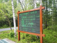 -汤旺河林海奇石景区
