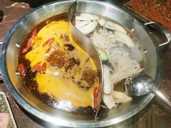 菌香鸳鸯锅-晓宇重庆火锅(赛格国际购物中心店)