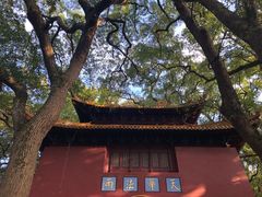-普陀山风景名胜区-法雨禅寺