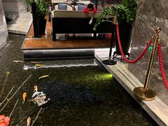 -隐秀山居酒店大堂吧