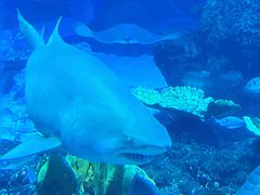 -成都浩海立方海洋公园