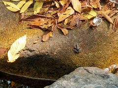 -云岫谷游猎自然风景区