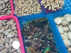 -三亚新鸿港水果一级批发市场