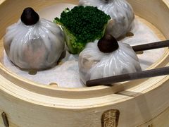 -东国海鲜火锅城(氹仔店)
