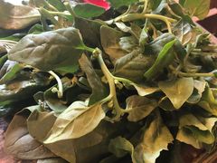 -慢丽江·云南野生菌土鸡锅(付家庄店)