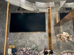 -上海金逸影城(静安大悦城店（原新恒星影城）)