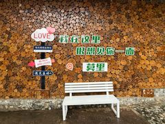 -莫里热带雨林景区