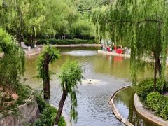-西安市长乐公园