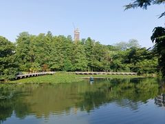 -荔枝公园(福田区)