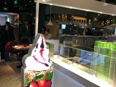 -Salud撒露欧洲冻酸奶(798艺术区店)