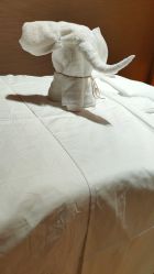 -栖SPA·ONDA ·海菲秀·皑皑科技美肤中心