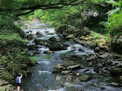 -广州市石门国家森林公园