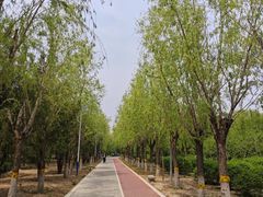 -绿堤公园