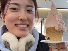 -野人先生Gelato(上海长宁龙之梦店)