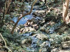 -梧桐山风景名胜区